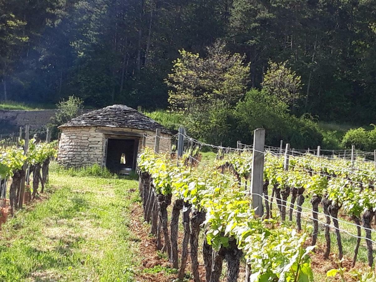 Le Bois De Laval Bed and Breakfast Marey-les-Fussey Exteriör bild