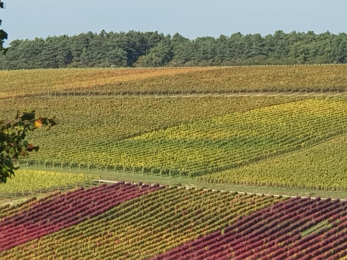 Le Bois De Laval Bed and Breakfast Marey-les-Fussey Exteriör bild